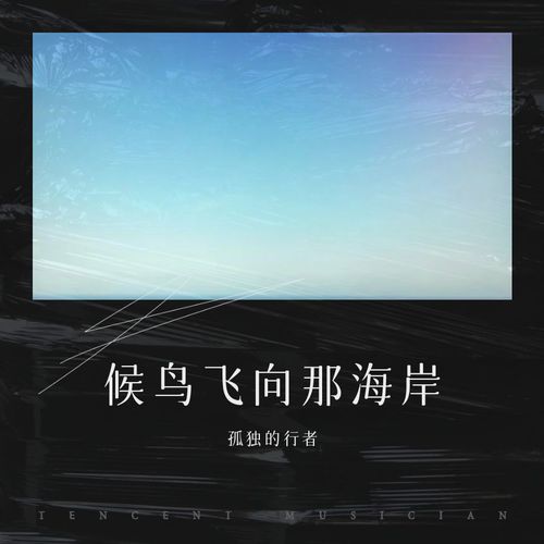 候鸟飞向那海岸