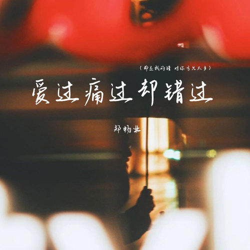 爱过痛过却错过(都是我的错 对你亏欠太多)