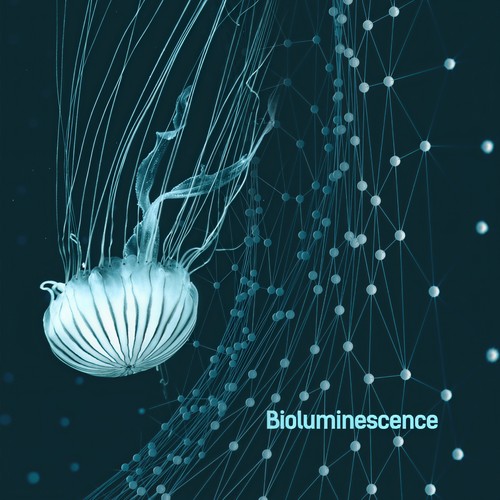 Bioluminescence