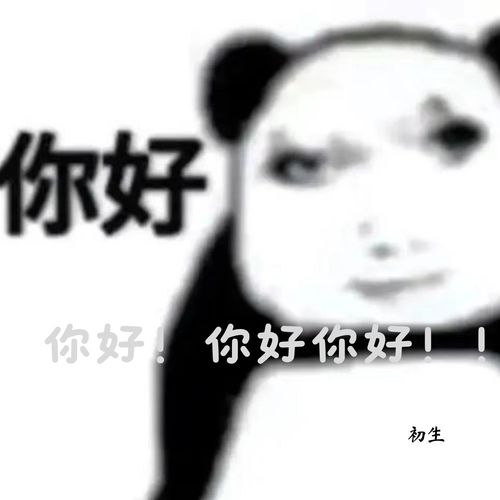 你好你好你好