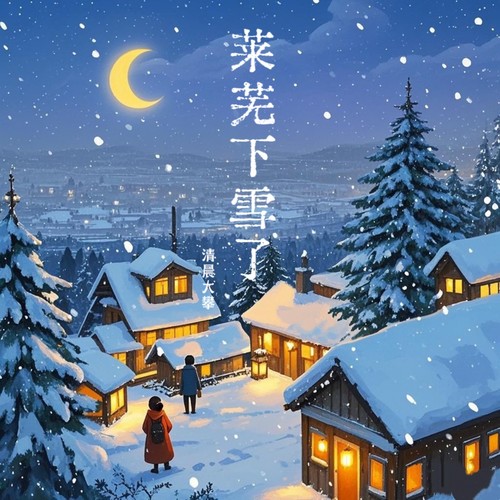 莱芜下雪了