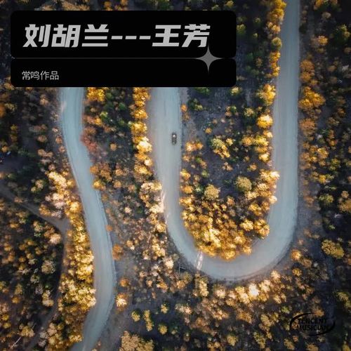 刘胡兰---王芳