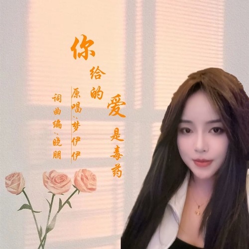 你给的爱是毒药DJ