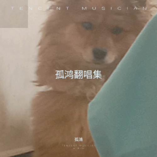 孤鸿翻唱集