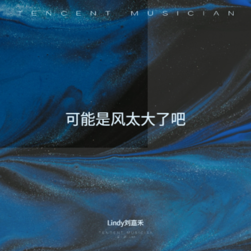 可能是风太大了吧