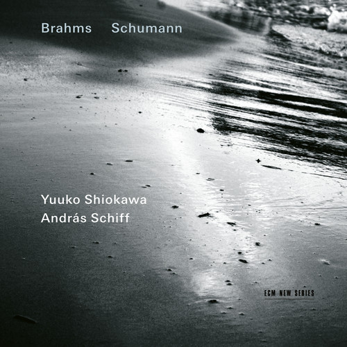 Brahms: Violin Sonata No. 1 in G Major, Op. 78: II. Adagio