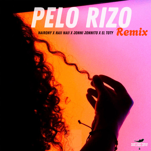 Pelo Rizo (Remix 2024)