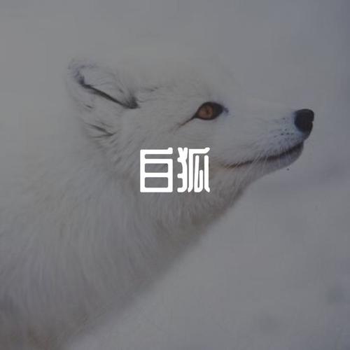 白狐（DJ北风版）