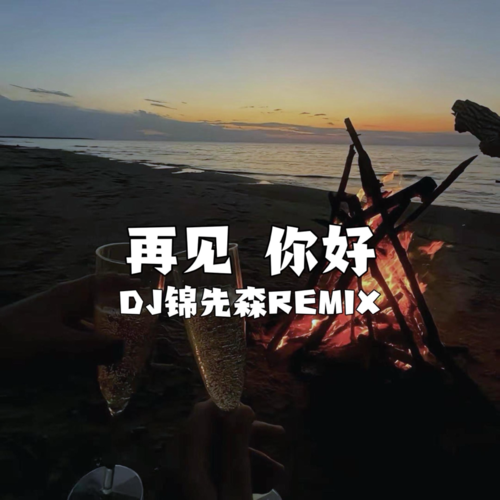再见你好（Dj锦先森Remix）