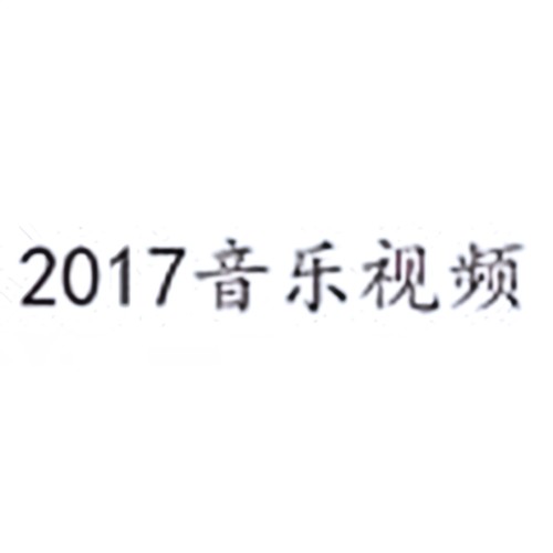 2017音乐视频