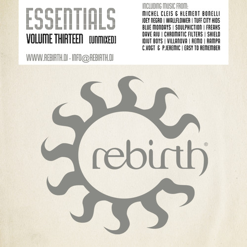 Rebirth Essentials, Vol. 13