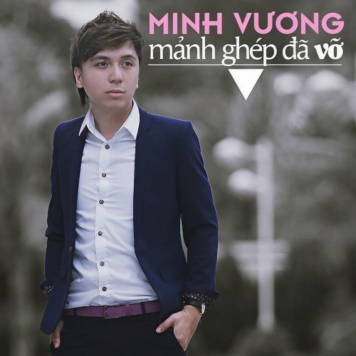 Manh Ghep Da Vo