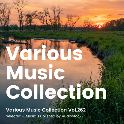 Various Music Collection Vol.262 -Selected & Music-Published by Audiostock-