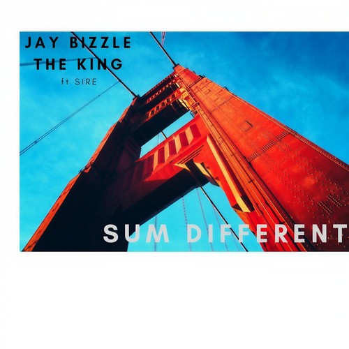 Sum Different (feat. Sire) [Explicit]