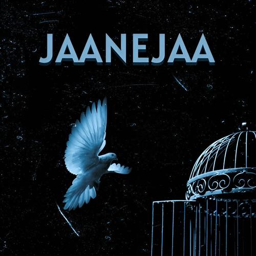 JAANEJAA