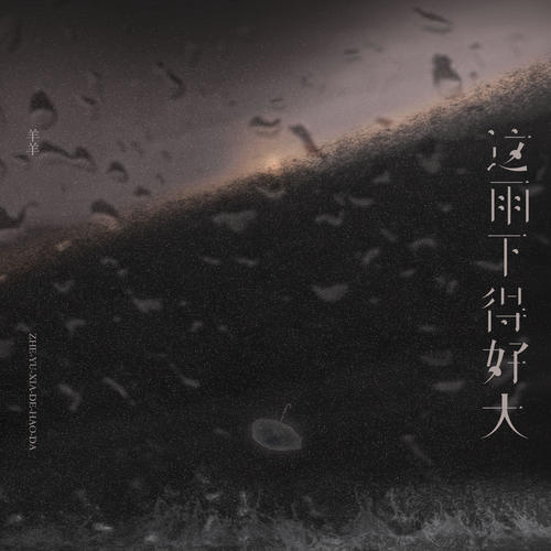 这雨下得好大