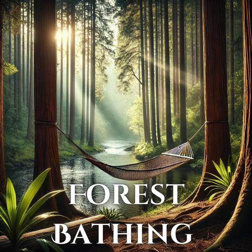 Forest Bathing: Deep Relaxation & Fresh Morning Ambience for Meditation and Wellness