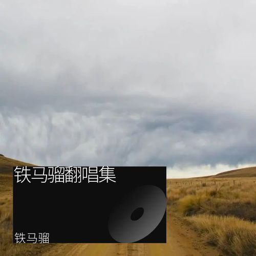 铁马骝翻唱集