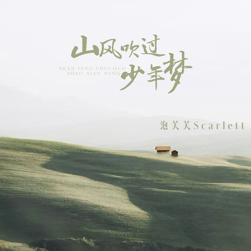 山风吹过少年梦