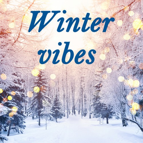 Winter Vibes (Explicit)