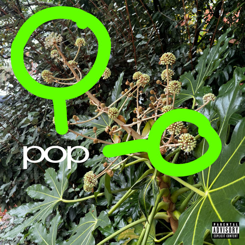 pop (Explicit)