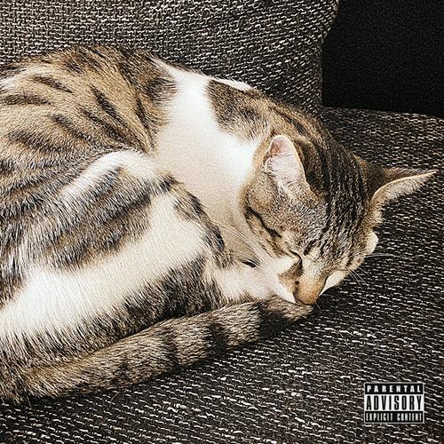 Gatico Echa'o (feat. Slim Hanzo) [Explicit]