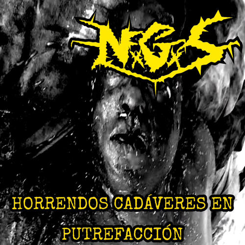 Horrendos Cadáveres En Putrefacción (Explicit)