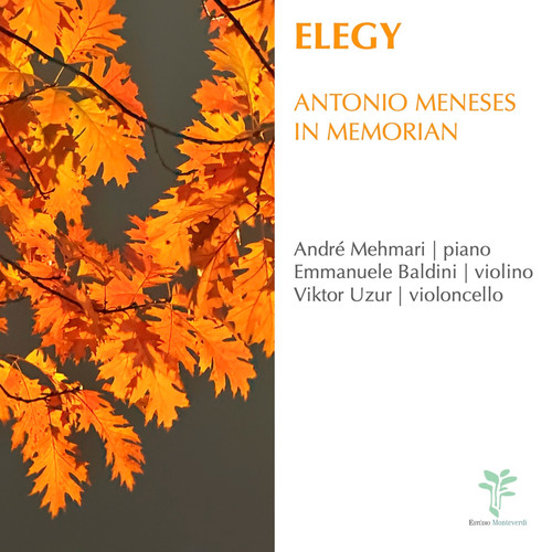 ELEGY - Antonio Meneses In Memorian