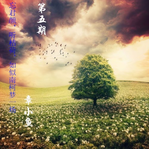 忘君颜，听枯荷，如似南柯梦一场 第五期