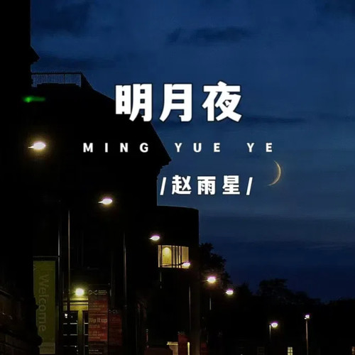 明月夜 (DJ小圣版)