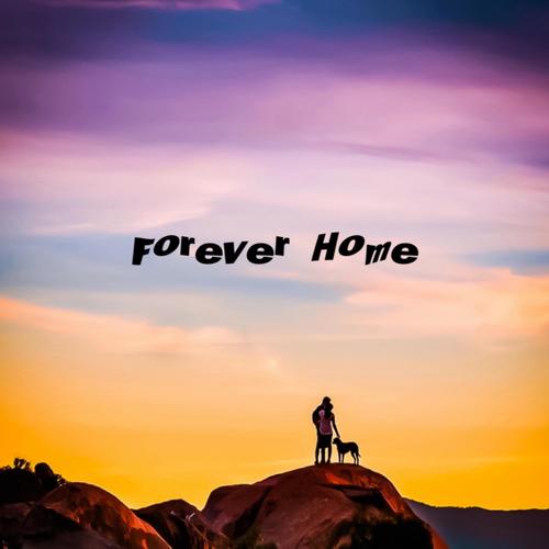 Forever Home