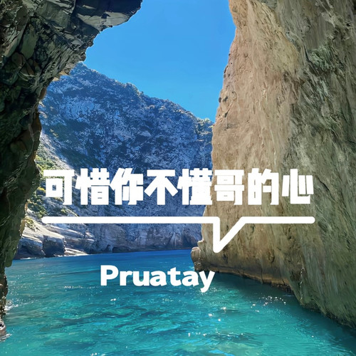 可惜你不懂哥的心