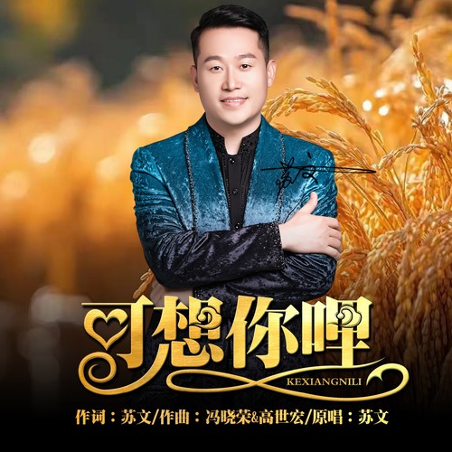可想你哩 （陕北版）