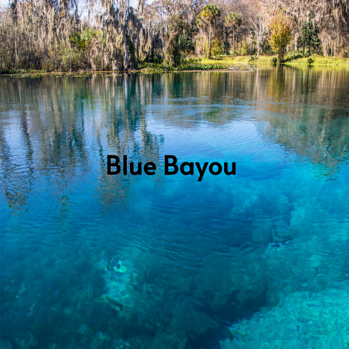 Blue Bayou