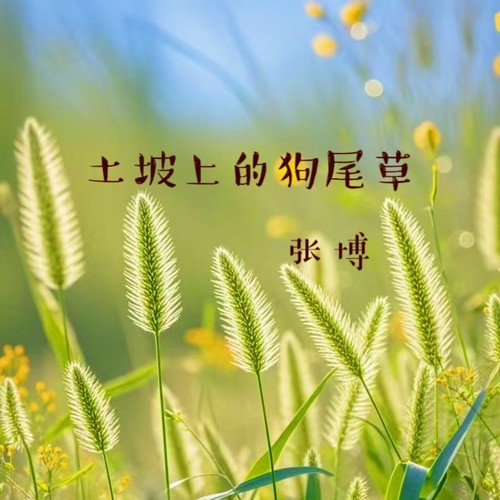 土坡上的狗尾巴草（民谣版）