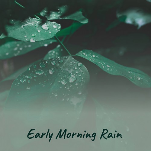 Early Morning Rain