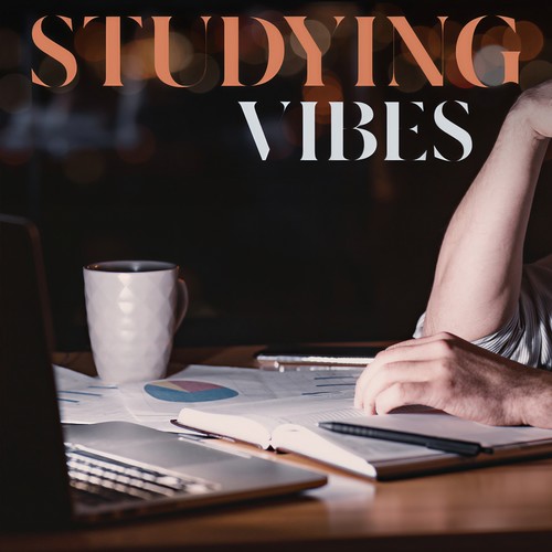 Studying Vibes (Explicit)