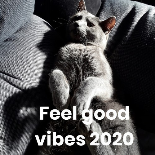 Feel good vibes 2020 (Explicit)