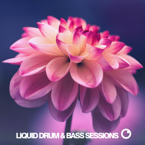 Liquid Drum & Bass Sessions 2020 Vol 9