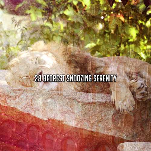 28 Bedrest Snoozing Serenity
