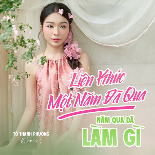 Liên Khúc Một Năm Đã Qua / Năm Qua Đã Làm Gì