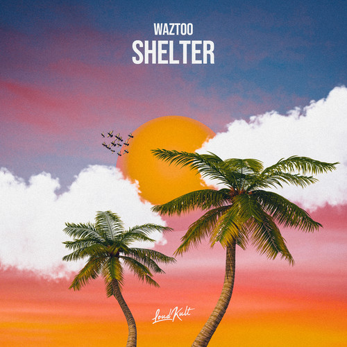 Shelter