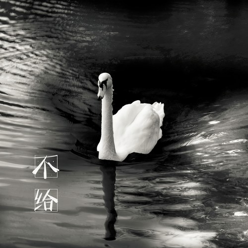 不给