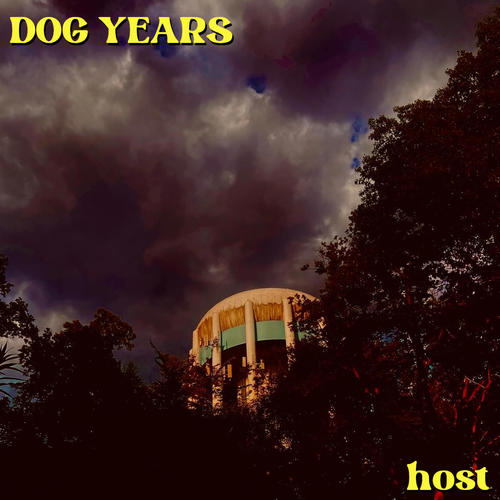 DOG YEARS