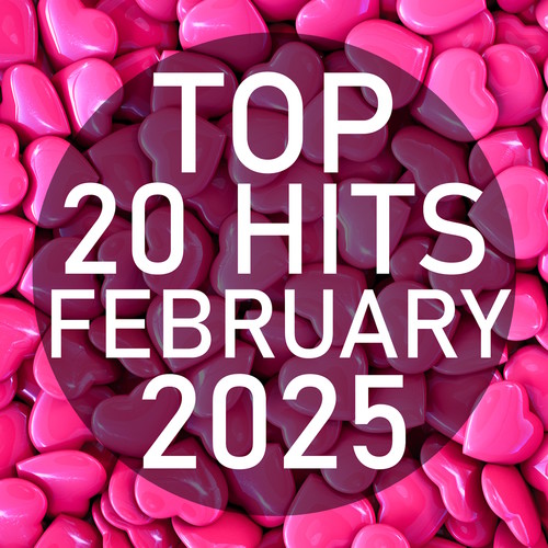 Top 20 Hits February 2025 (Instrumental)