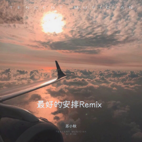 最好的安排remix