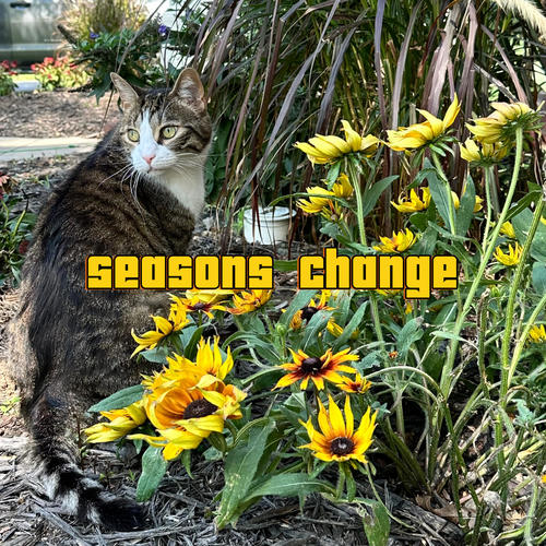 SEASONS CHANGE