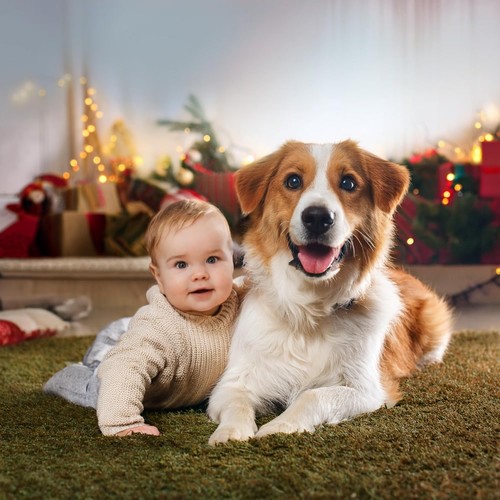 Melodías Suaves: Pistas Para Bebés Y Mascotas