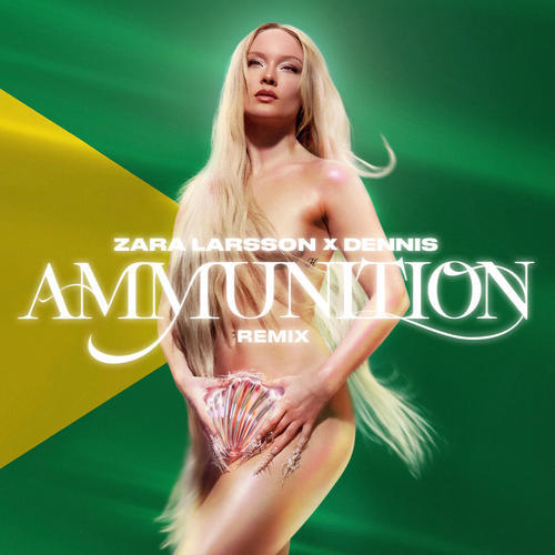 Ammunition (DENNIS Remix) [Explicit]