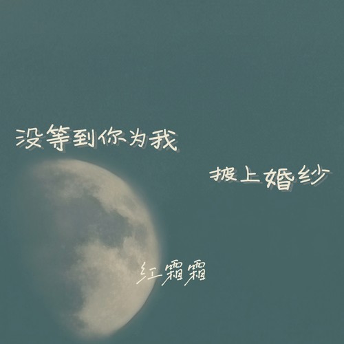 没等到你为我披上婚纱